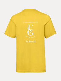 St DAVID T-shirt Junior