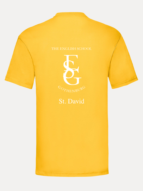 St DAVID T-shirt Unisex